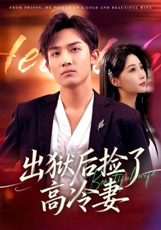 出狱后捡了高冷妻手机电影