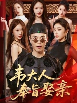 韦大人奉旨娶亲手机电影