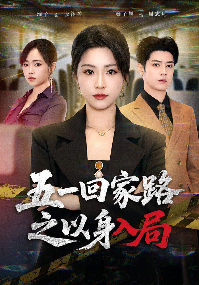 五一回家路之以身入局手机电影