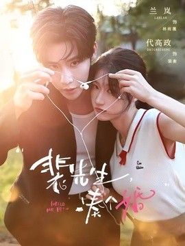 裴先生，凑个婚手机电影