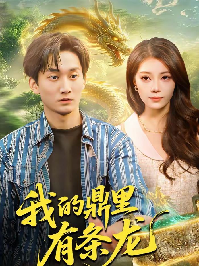 我的鼎里有条龙手机电影