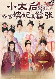 小太后驾到，各宫嫔妃莫嚣张手机电影