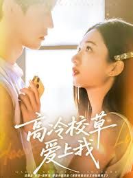 高冷校草爱上我手机电影