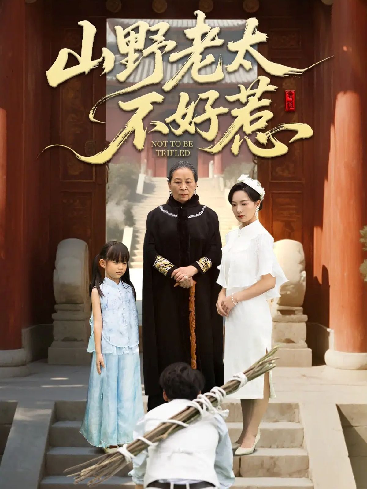 山野老太不好惹（奶奶一脚震全城）手机电影