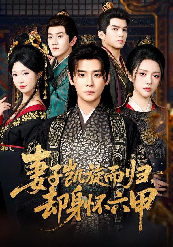 妻子凯旋而归，却身怀六甲手机电影