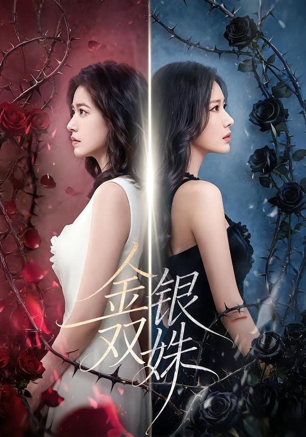 金银双姝手机电影