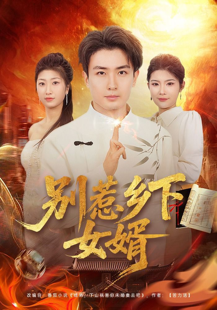 别惹乡下女婿手机电影