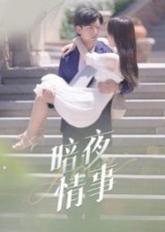 暗夜情事手机电影