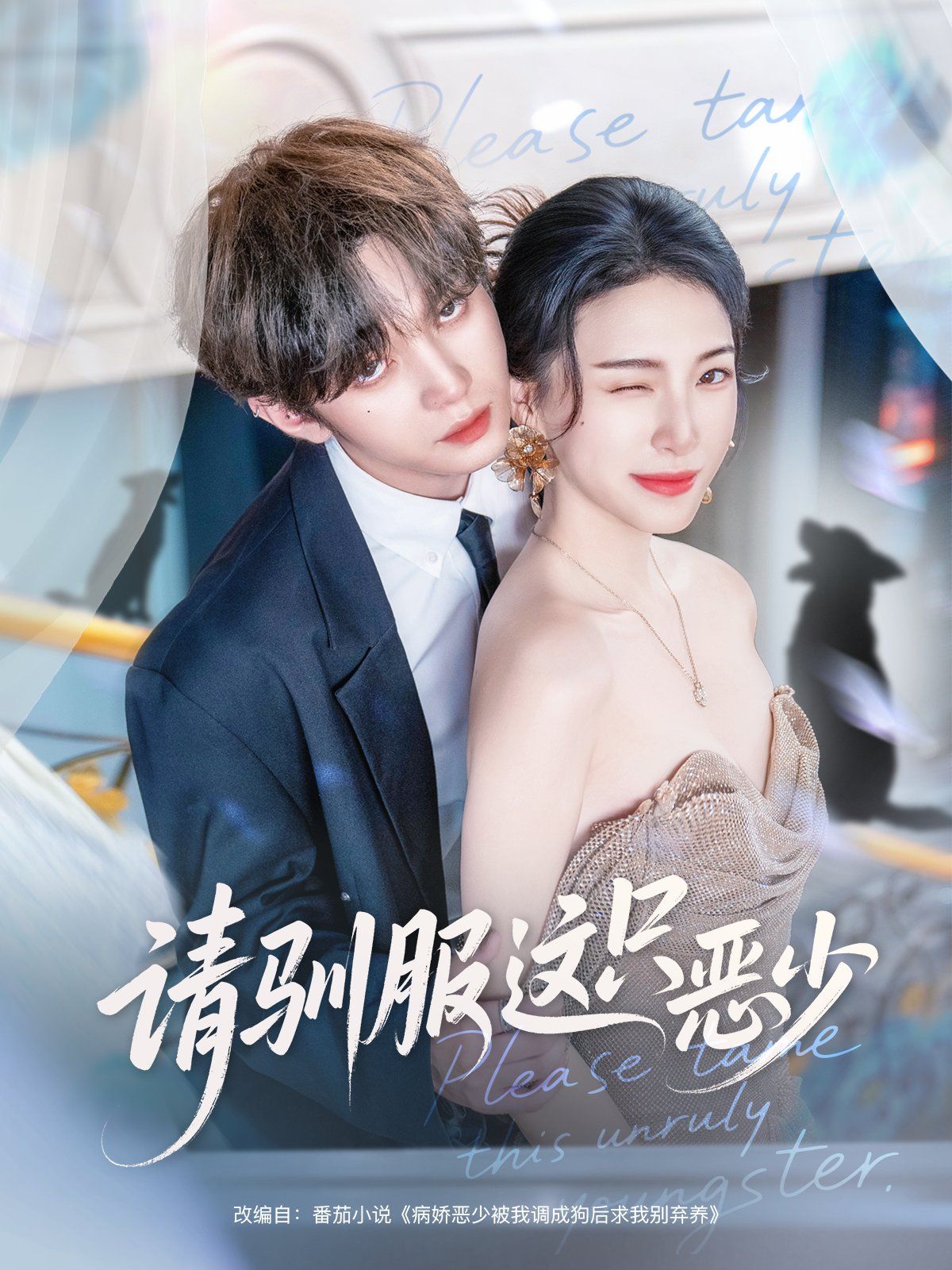 请驯服这只恶少手机电影