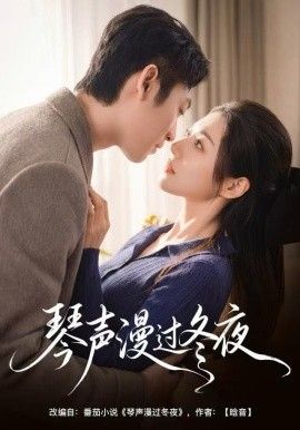 琴声漫过冬夜手机电影