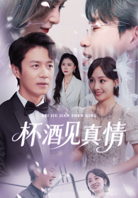 杯酒见真情（虚情再难掩）手机电影