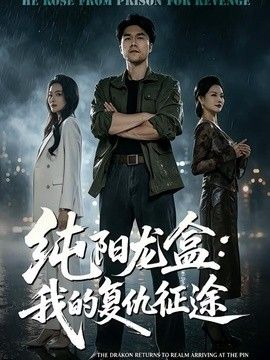 纯阳龙盒：我的复仇征途