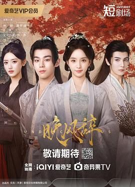 晚风辞手机电影