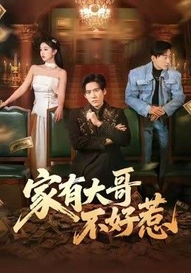 家有大哥不好惹手机电影