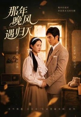 那年晚风遇归人手机电影