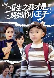 重生之我才是妈妈的小王子手机电影