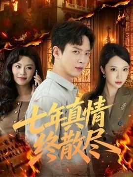 七年真情终散尽手机电影