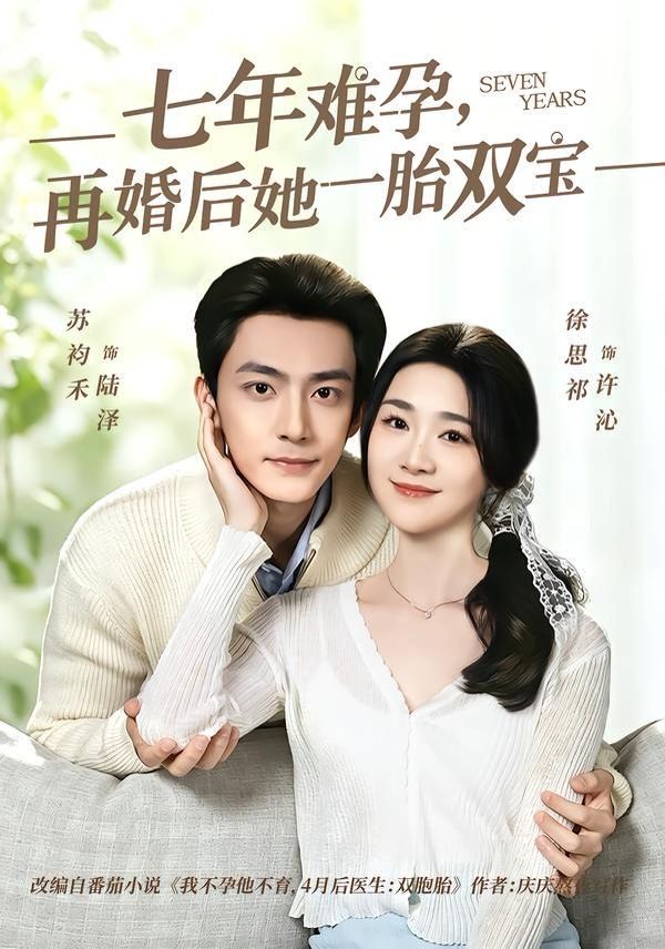 七年难孕，再婚后她一胎双宝手机电影