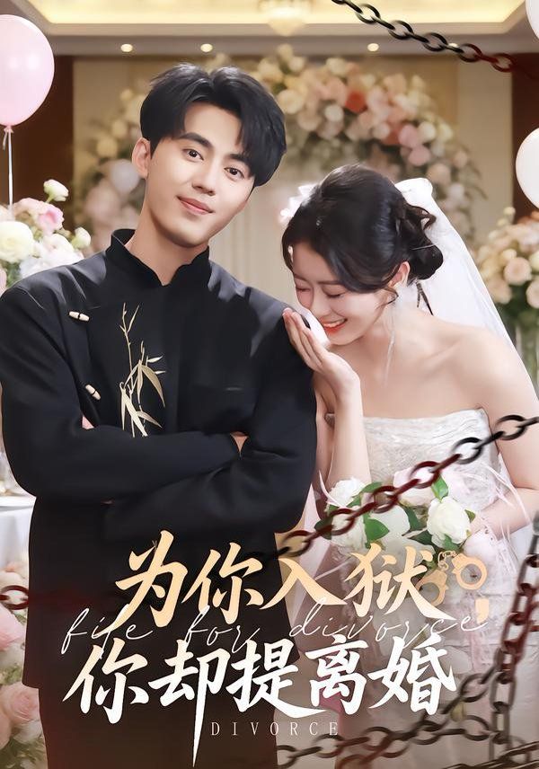 为你入狱，你却提离婚手机电影