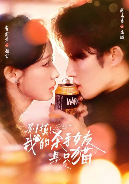 别摸我的杀手女友是只猫手机电影