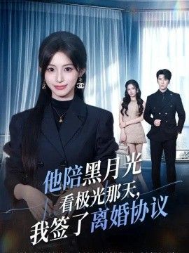 他陪黑月光看极光那天，我签了离婚协议}