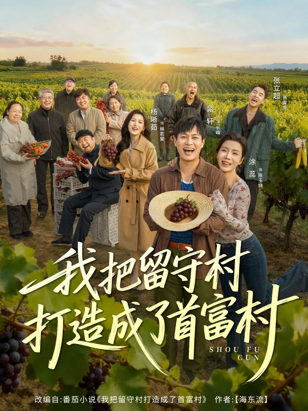 我把留守村打造成了首富村手机电影