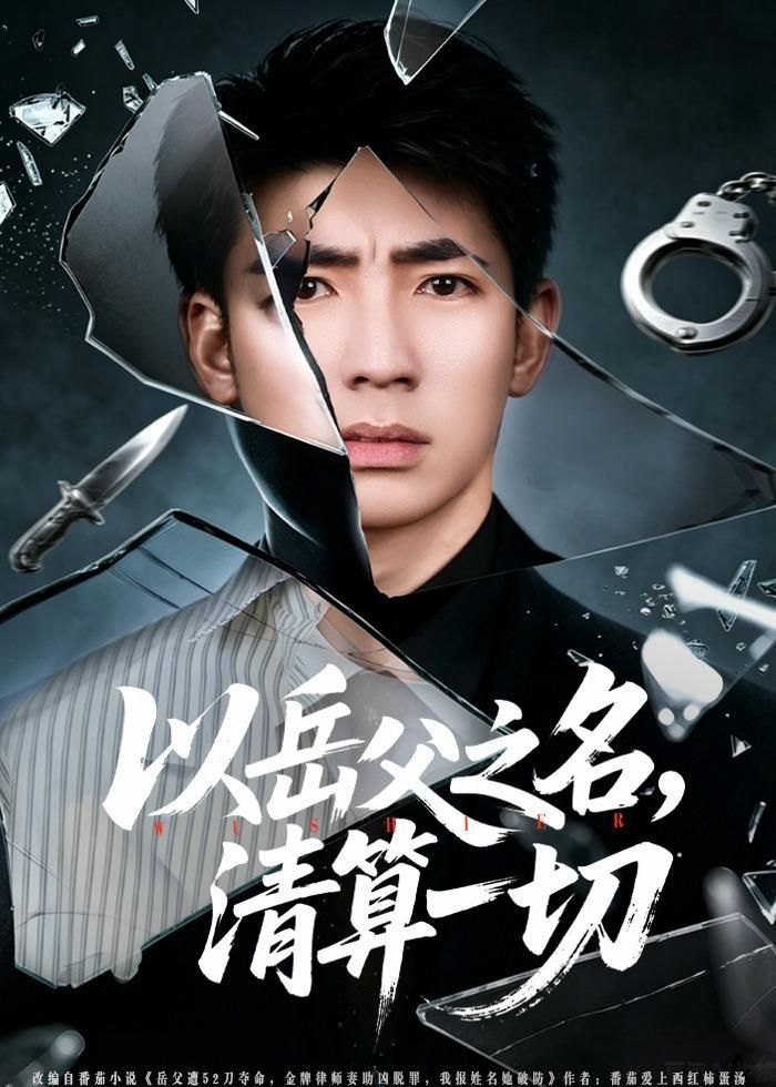以岳父之名，清算一切手机电影