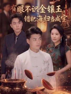 有眼不识金镶玉错把海归当成宝手机电影