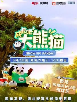 鲁大师视频在线观看免费观看-成长吧！大熊猫