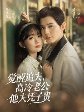 觉醒追夫，高冷老公他夫凭子贵}