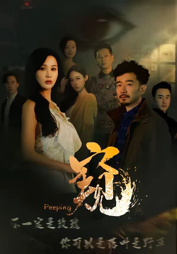 窥（窥伺）手机电影