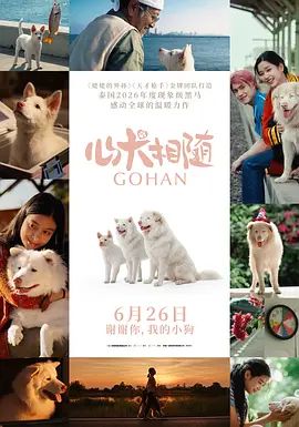 心犬相随手机电影
