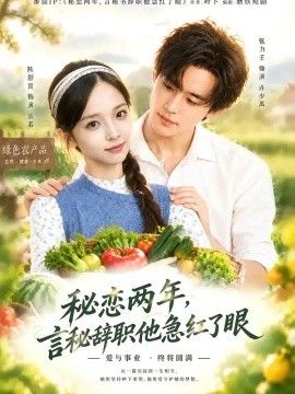 秘恋两年，言秘辞职他急红了眼}