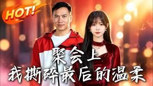聚会上，我撕碎最后的温柔手机电影