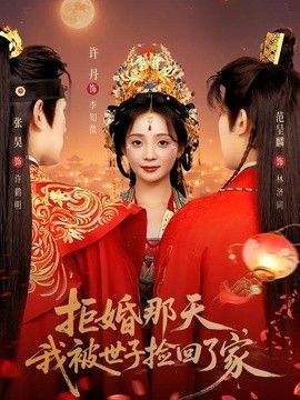 拒婚那天，我被世子捡回了家手机电影