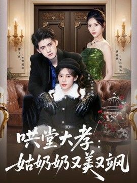 哄堂大孝：姑奶奶又美又飒手机电影
