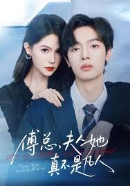 傅总，夫人她真不是凡人手机电影