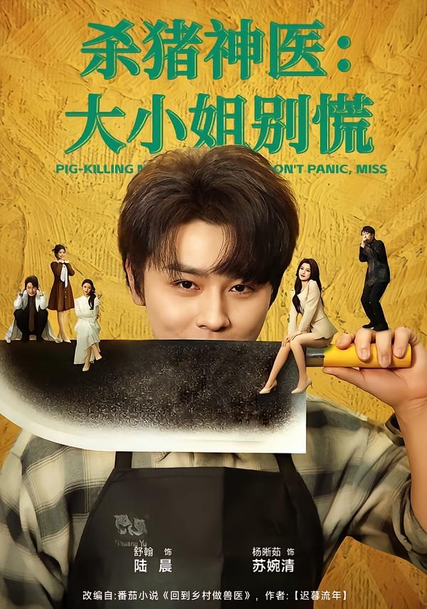 杀猪神医，大小姐别慌手机电影