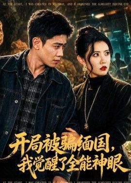 开局被骗缅国，我觉醒了全能神眼手机电影