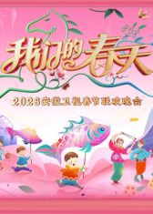 安徽卫视春节联欢晚会2026手机电影