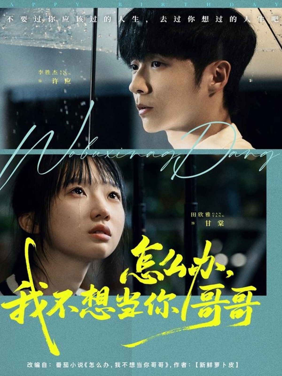 怎么办，我不想当你哥哥手机电影