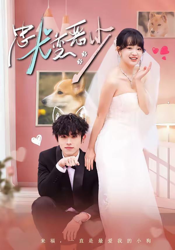 忠犬变恶少（惊！我家来福变恶少了）