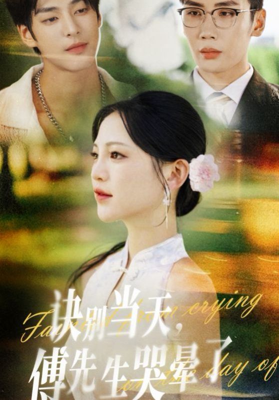 诀别当天傅先生哭晕了手机电影