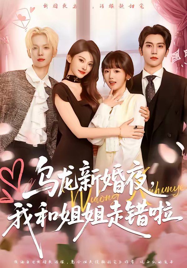 乌龙新婚夜，我和姐姐走错啦手机电影