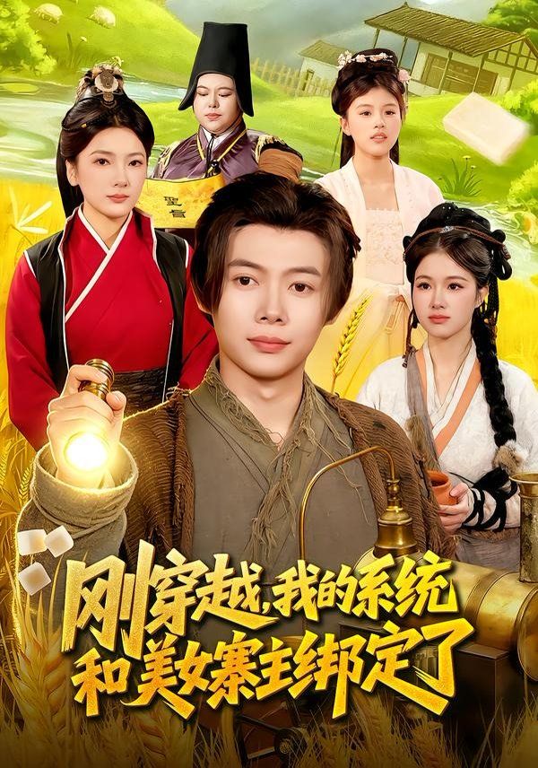 刚穿越，我的系统和美女寨主绑定了手机电影