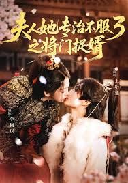 夫人她专治不服3之将门捉婿手机电影