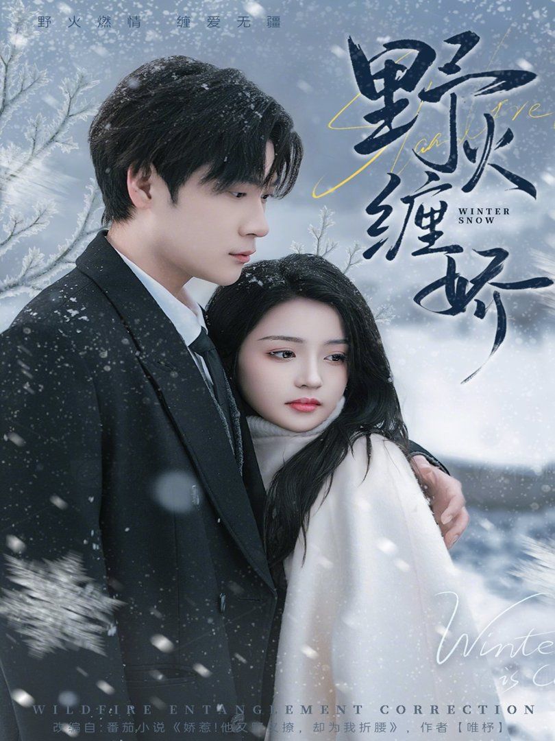 野火缠娇手机电影