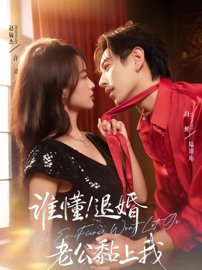 谁懂！退婚老公黏上我手机电影