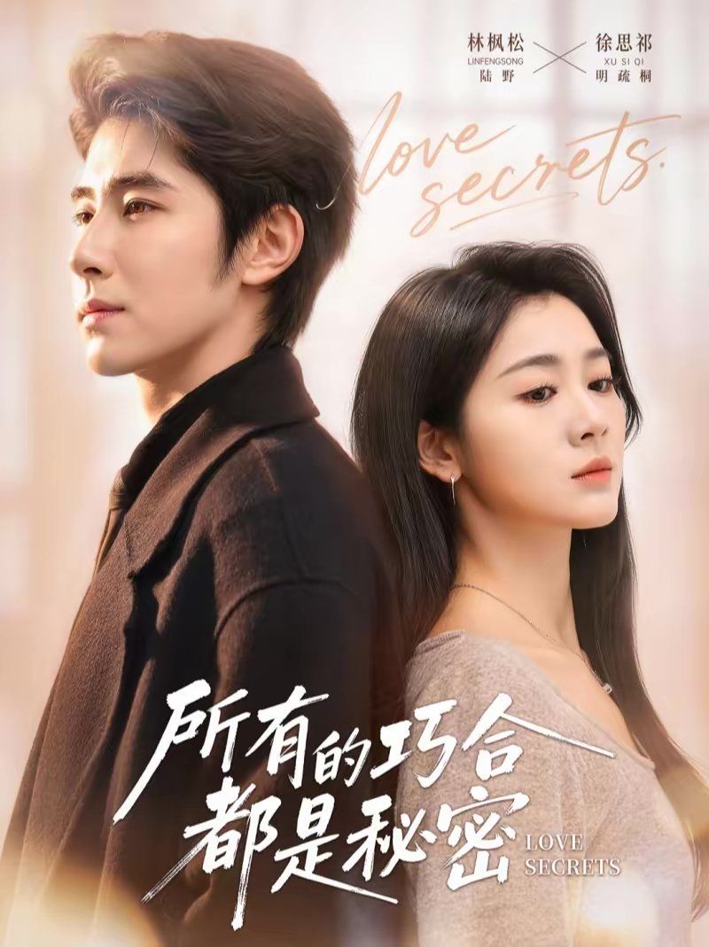 所有的巧合都是秘密（陆总夫人她只想离婚）手机电影