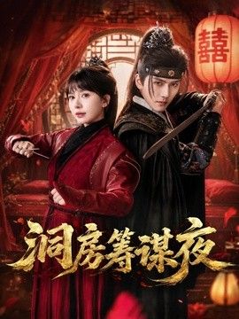 洞房筹谋夜手机电影
